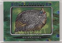 Tier 1 - Guinea Fowl