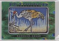 Tier 1 - Sandhill Crane