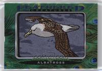 Tier 1 - Albatross