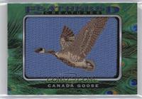 Tier 1 - Canada Goose