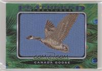 Tier 1 - Canada Goose