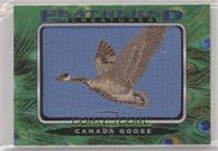 Tier 1 - Canada Goose