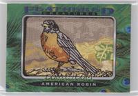 Tier 1 - American Robin