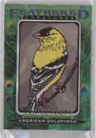 Tier 1 - American Goldfinch