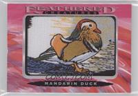 Tier 2 - Mandarin Duck [EX to NM]