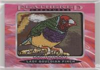 Tier 2 - Lady Gouldian Finch