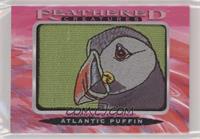 Tier 2 - Atlantic Puffin