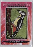 Tier 2 - Woodpecker