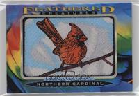 Tier 3 - Northern Cardinal