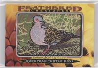 Tier 4 - European Turtle-Dove