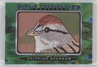 Tier 1 - Chipping Sparrow