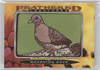 Tier 4 - Mourning Dove