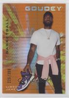 LeBron James #/399