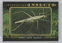 Tier 1 - Snowy Tree Cricket