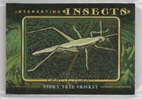 Tier 1 - Snowy Tree Cricket