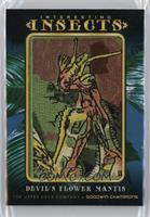 Tier 2 - Devil's Flower Mantis