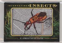 Tier 3 - St. Andrew's Cotton Stainer