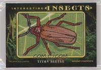 Tier 3 - Titan Beetle