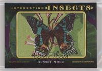 Tier 4 - Sunset Moth