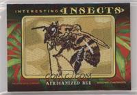 Tier 5 - Africanized Bee