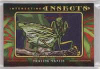 Tier 5 - Praying Mantis