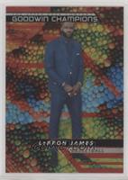 LeBron James #/49