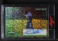 Emmitt Smith [Uncirculated] #/1