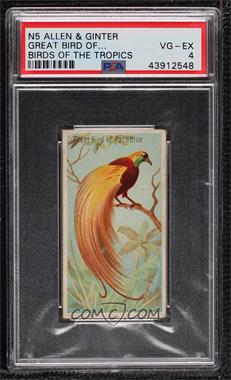 1889 Allen & Ginter Birds of the Tropics - Tobacco N5 #_GBPA - Great Bird of Paradise [PSA 4 VG‑EX]