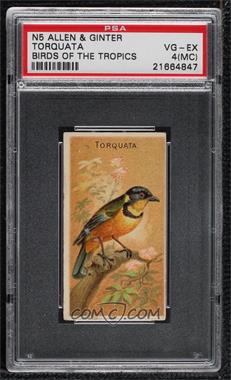 1889 Allen & Ginter Birds of the Tropics - Tobacco N5 #_TORQ - Torquata [PSA 4 VG‑EX (MC)]