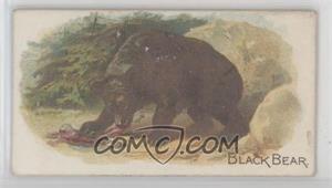 1890 Allen & Ginter 50 Quadrupeds - Tobacco N21 #_BLBE - Black Bear [Good to VG‑EX]