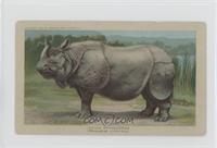 Indian Rhinoceros [Good to VG‑EX]