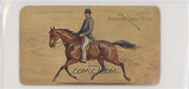 1892 Duke's Breeds of Horses - N101 [Base] #AMSH - American Saddle Horse [Poor to Fair]