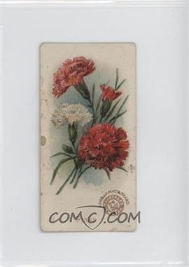 1895 Arm & Hammer Beautiful Flowers - [Base] #51 - Pinks [COMC RCR Poor]