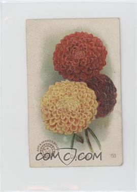 1895 Arm & Hammer Beautiful Flowers - [Base] #59 - Dahlias