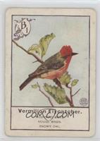 Vermillion Flycatcher