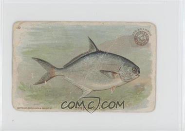 1900 Arm & Hammer Fish Series - J15 #19 - Pompano [Poor to Fair]