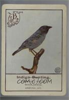 Indigo Bunting [Good to VG‑EX]