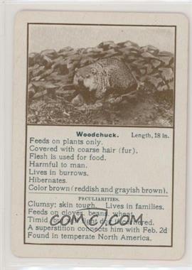 1903 Cincinnati Games Wild Animals - [Base] #WOOD - Woodchuck [Good to VG‑EX]