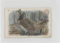 Ruffed Grouse [Good to VG‑EX]