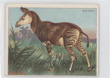 1909-11 Hassan Animals Series - Tobacco T29 - Animal Description Back #_OKAP - Okapi [Good to VG‑EX]