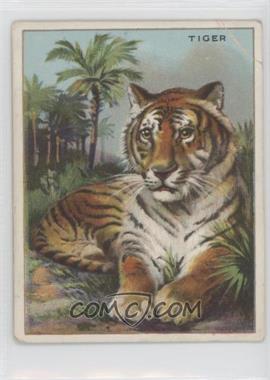 1909-11 Hassan Animals Series - Tobacco T29 - Hassan Ad Back #_TIGE - Tiger [Good to VG‑EX]