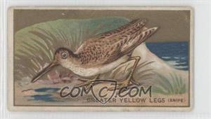 1910 ATC Bird Series - T42 - Mecca Factory 649 #_GRYL - Greater-Yellow-Legs (Snipe) [Good to VG‑EX]