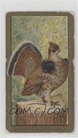 Ruffed Grouse [Good to VG‑EX]