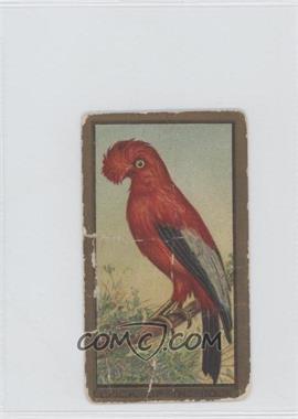1910 ATC Bird Series - T43 - Sweet Caporal #_COTR - Cock-Of-The-Rock [Poor to Fair]
