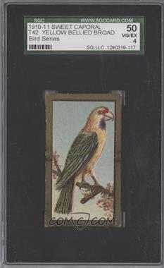 1910 ATC Bird Series - T43 - Sweet Caporal #_YEBB - Yellow Bellied Broad Tail [SGC 50 VG/EX 4]