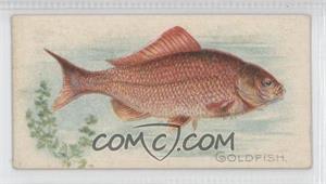 1910 ATC Fish Series - Tobacco T58 - Sweet Caporal Factory 30 2nd Dist NY Back 1-50 #_GOLD - Goldfish