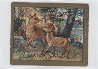 1910 Turkish Trophies Fable Series - Tobacco T57 #FAMO - The Fawn and Its Mother [Good to VG‑EX]