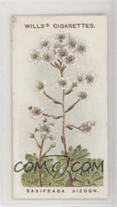 1913 Wills Alpine Flowers - Tobacco [Base] #37 - Saxifraga Aizoon