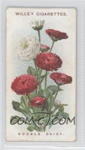 1913 Wills Old English Garden Flowers Series 2 - Tobacco [Base] #13 - Double Daisy [Good to VG‑EX]