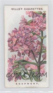 1913 Wills Old English Garden Flowers Series 2 - Tobacco [Base] #42 - The Soapwort [Noted]